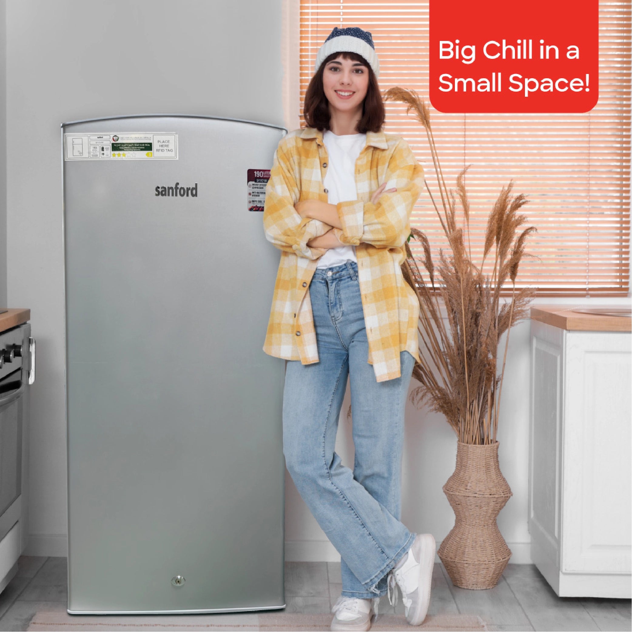 190L refrigerator freezer anti bacterial interior sanford 2
