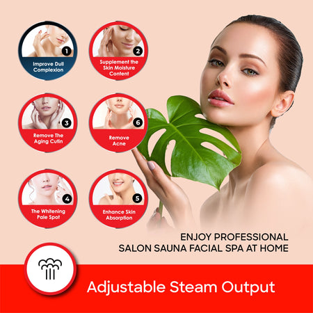 facial steamer 100W 2-in-1 sauna nasal mask sanford 4