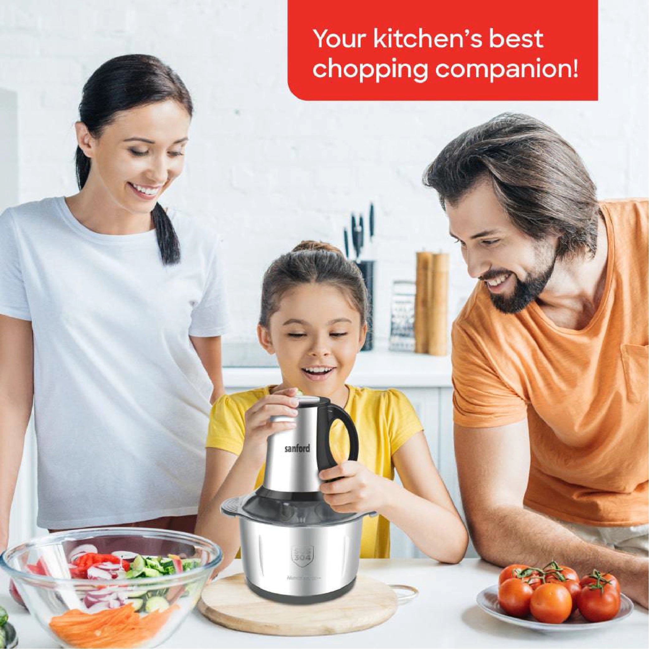 multifunction heavy duty food chopper 4L sanford 2