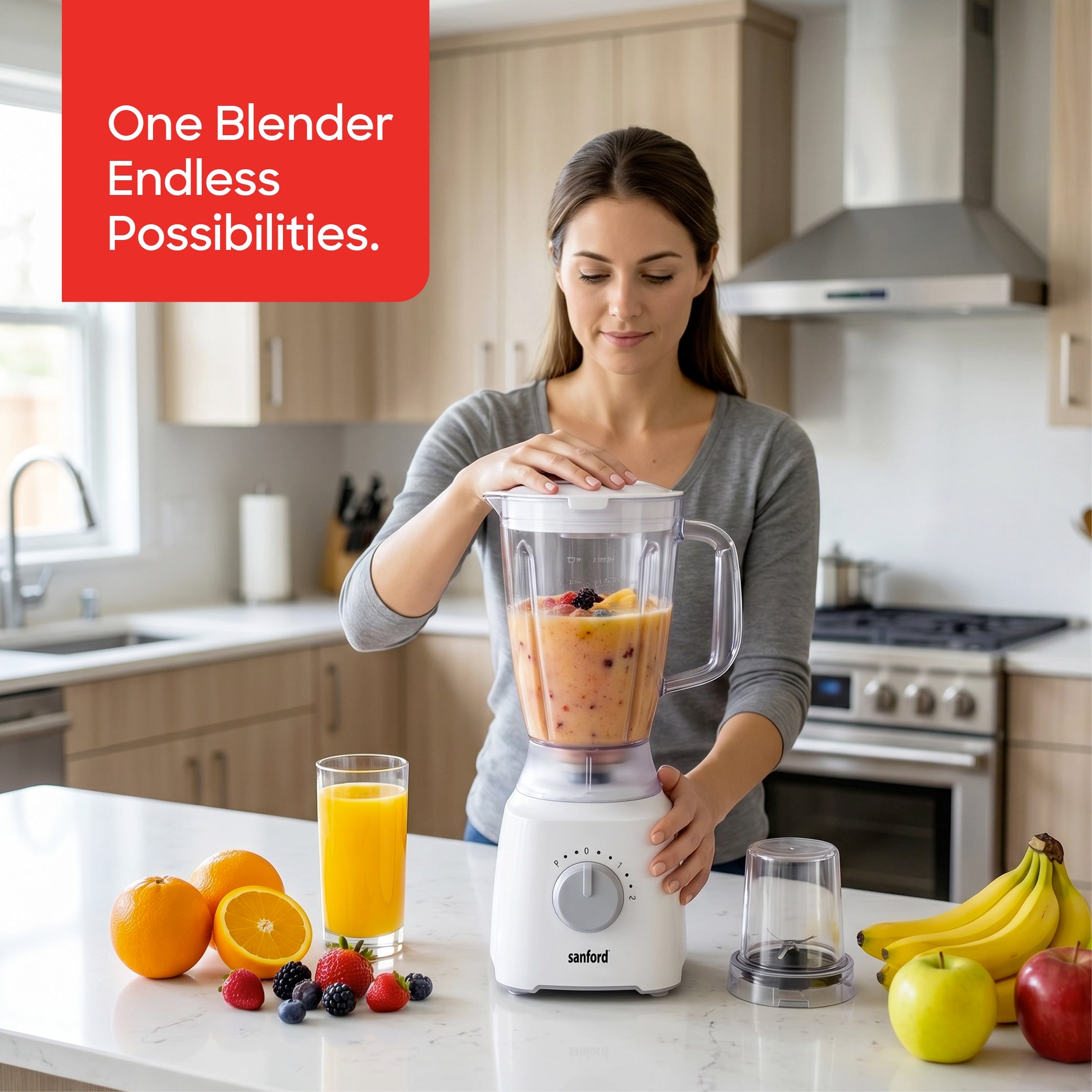 2 in 1 blender grinder 1.8L jar 600W SS304 blades sanford 2