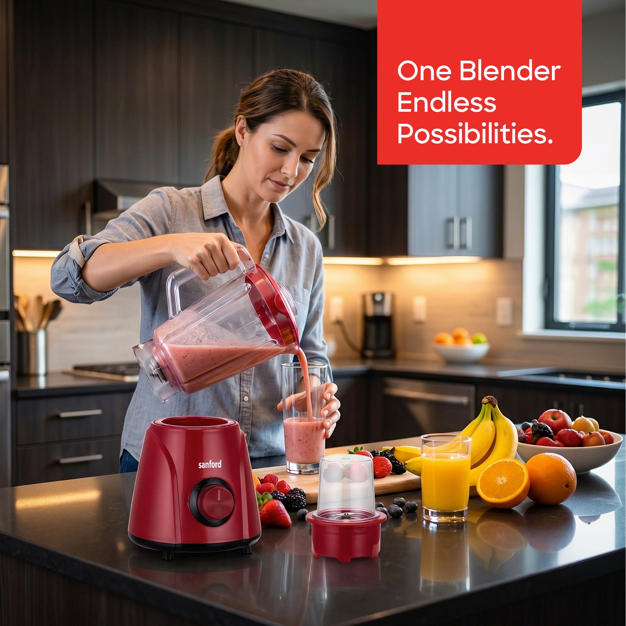 2 in 1 blender grinder 400W stainless steel blades 1.6L jar sanford 2