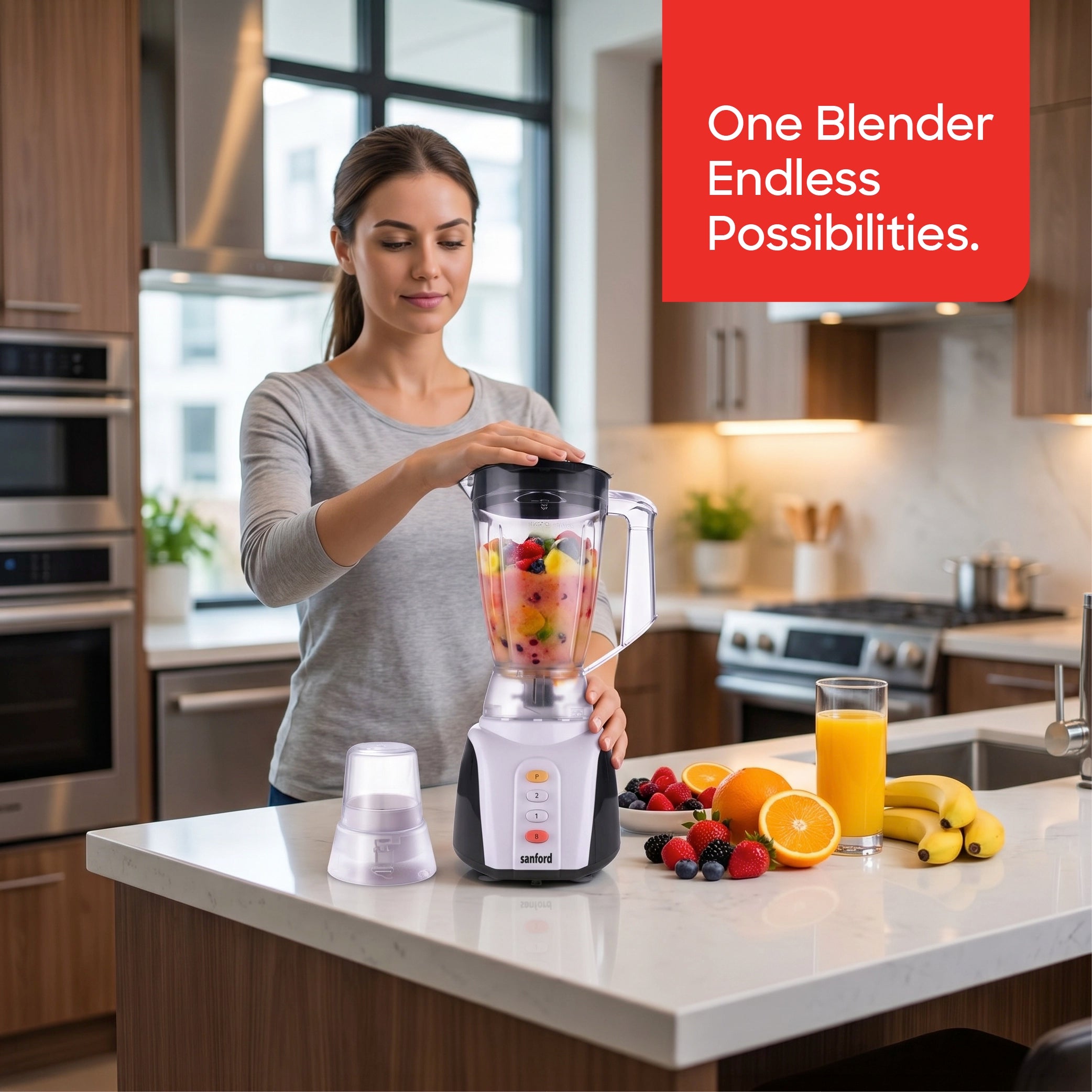 heavy duty blender grinder 2 in 1 650W unbreakable jar stainless steel blades sanford 2